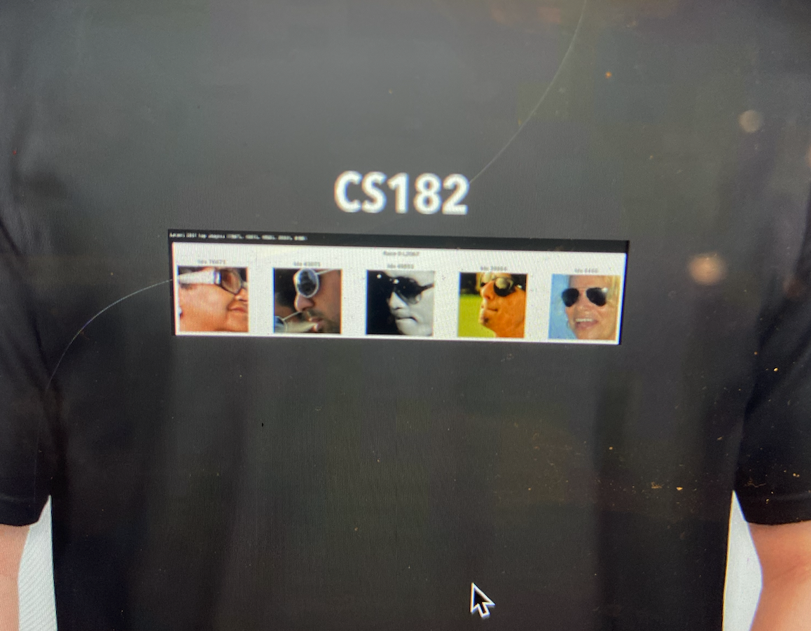 Investigating Demographic Attribute Representation in Vision Encoders