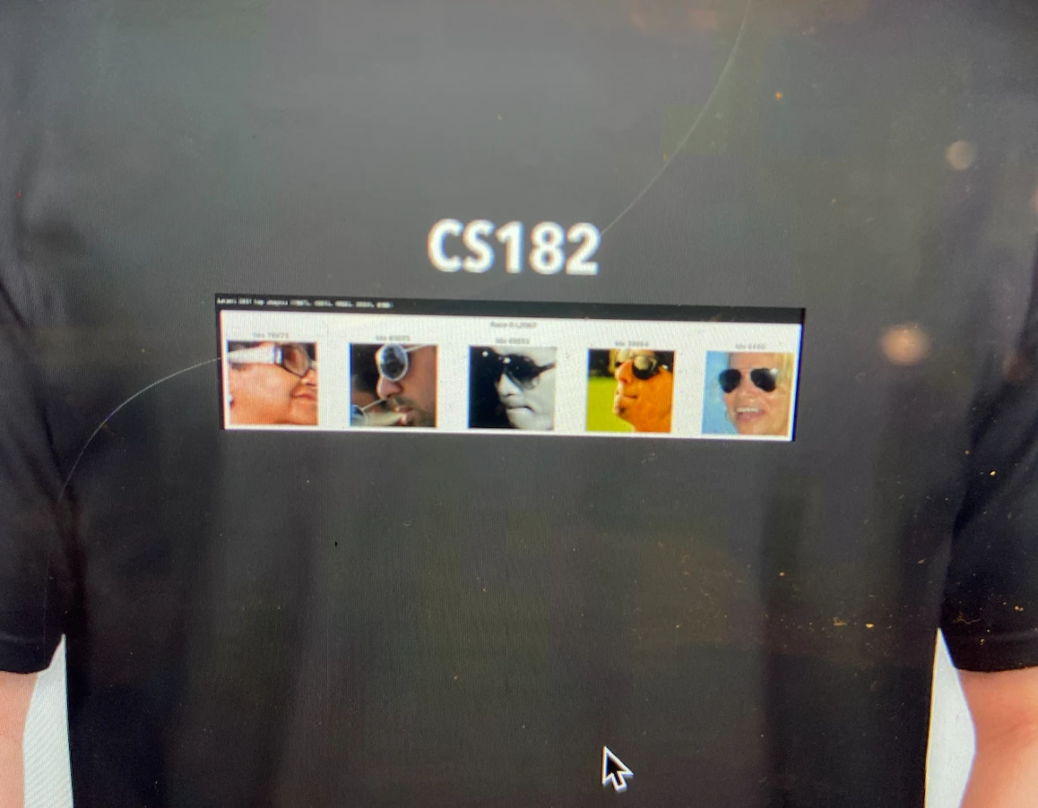 VISTA: Vision Intersectional Sparse Trait Analysis